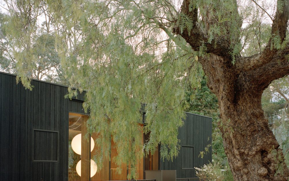 Double height internal courtyard